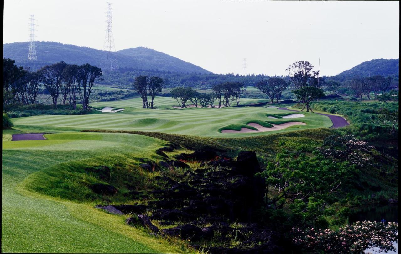 Ardenhill Resort & Golf 済州市 エクステリア 写真